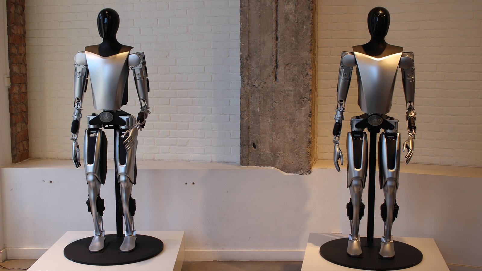 Two Tesla Optimus humanoid robots on display