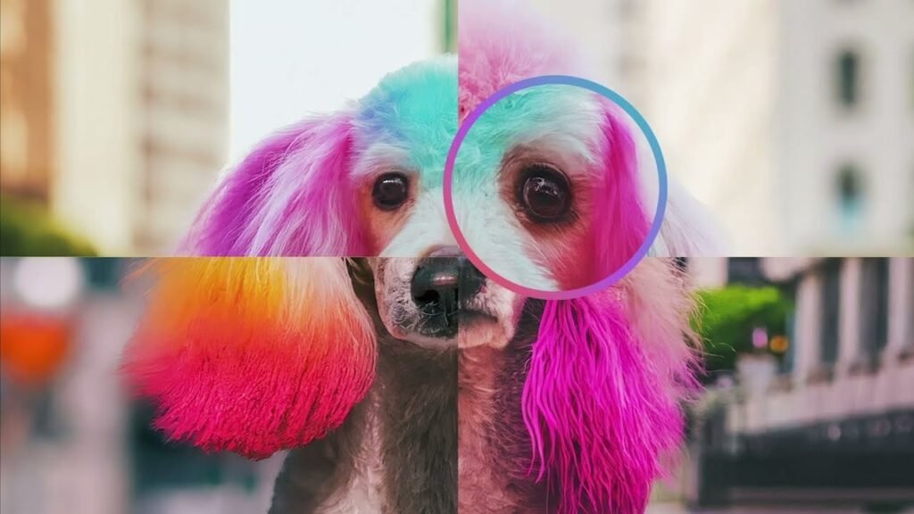 An AI-generated image of a rainbow-dyed poodle with SynthID's detection overlay highlighting watermarked regions