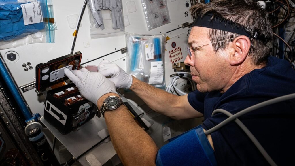 Astronaut Mike Barratt processing brain organoid samples inside the International Space Station