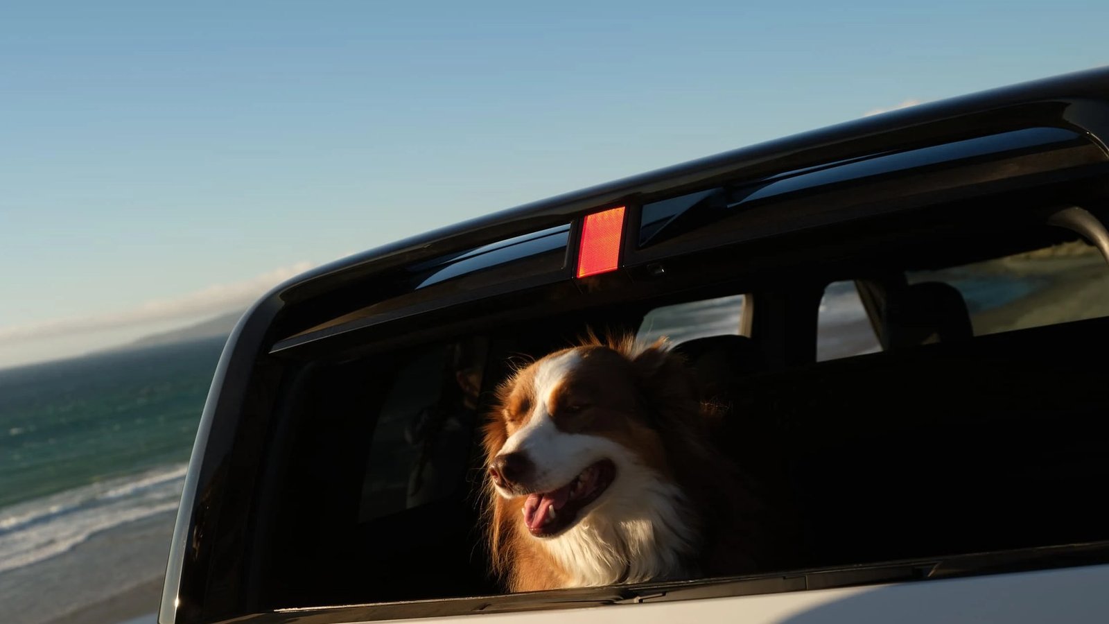A happy dog looking out of the rear window of a Rivian R2 at sunset by the ocean