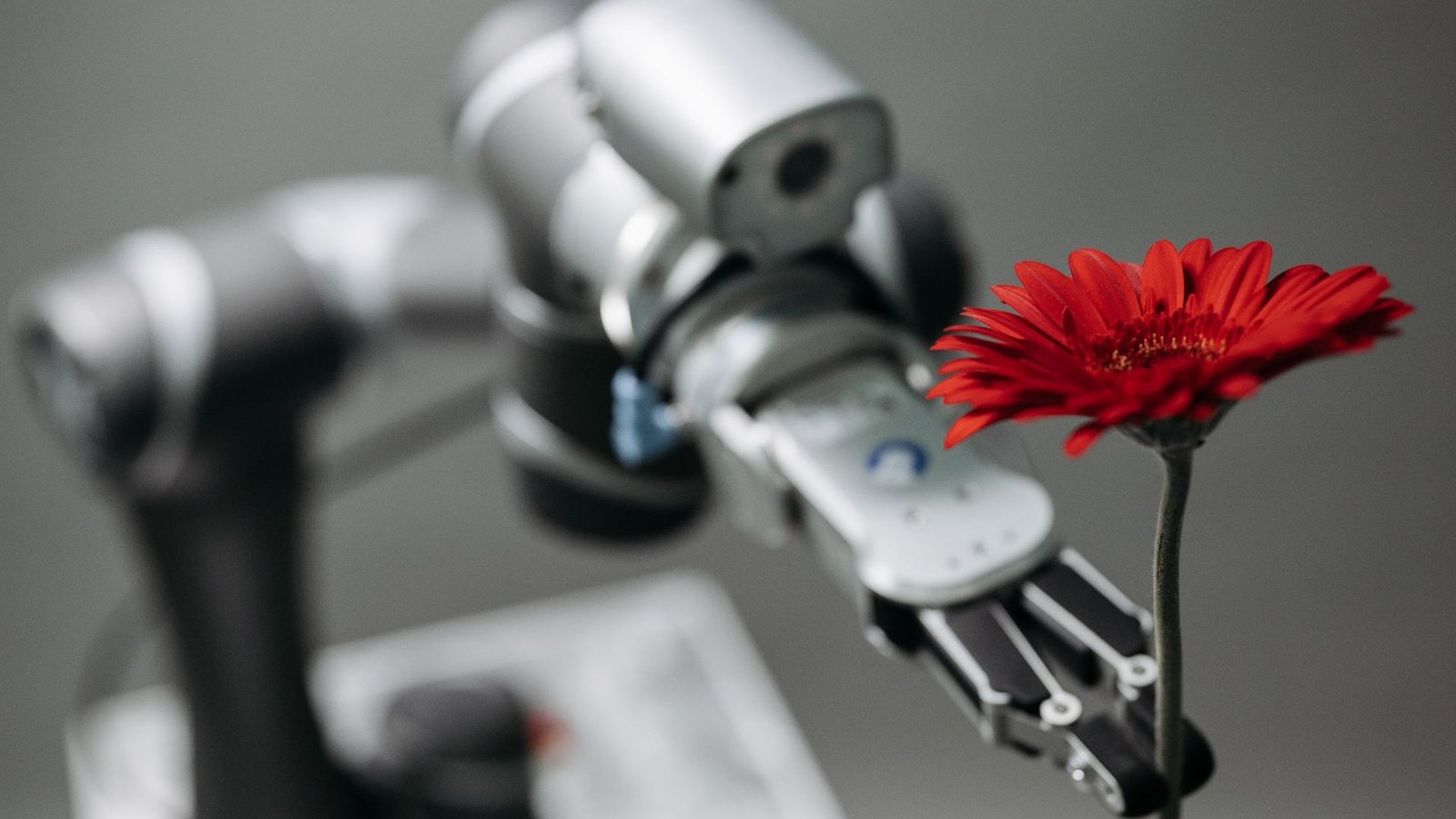 Robotic arm gripper delicately holding a red flower without crushing it